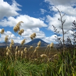 Mt Ruhapehu im Tongariro Nationalpark